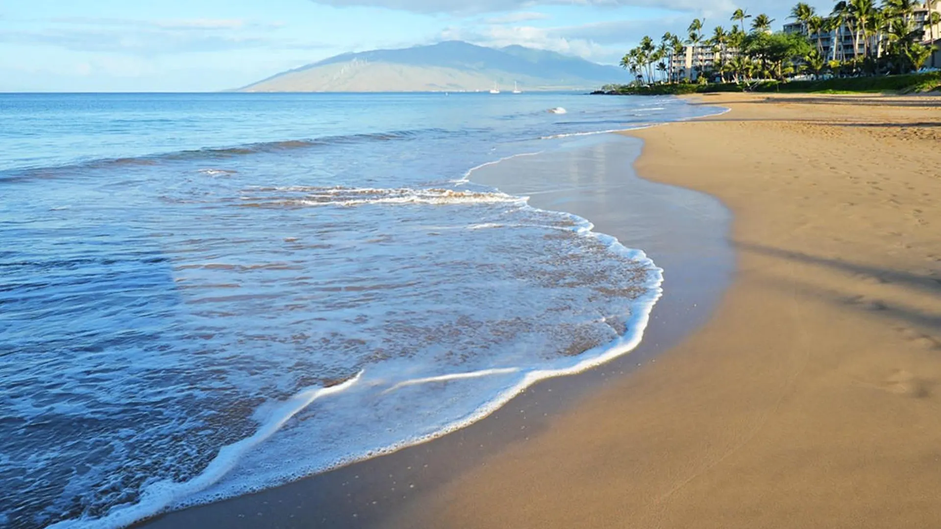 Appart hôtel Top 5 Home With King Bed Plus Steps To Beach & Shops Wailea  États-Unis