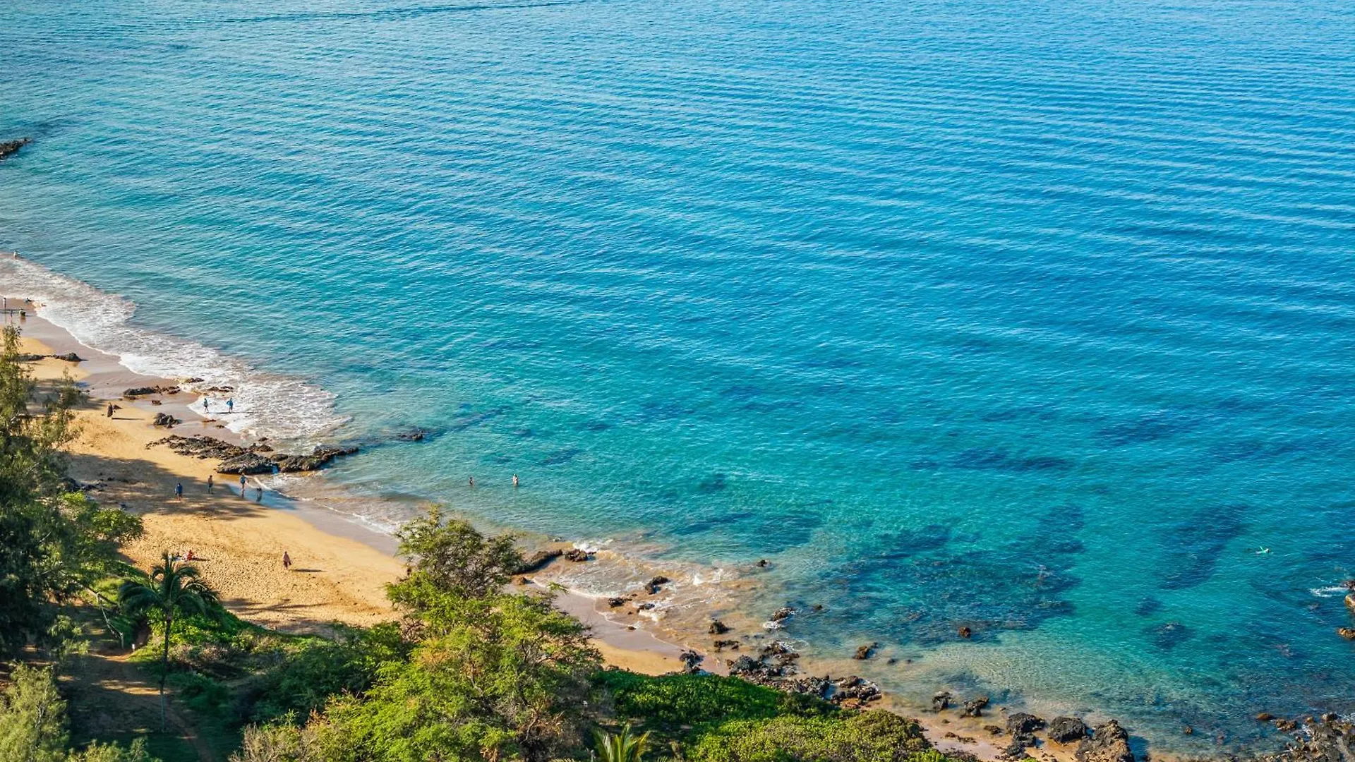Lejlighedshotel Top 5 Home With King Bed Plus Steps To Beach & Shops Wailea